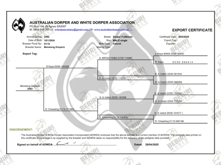 Cert 1