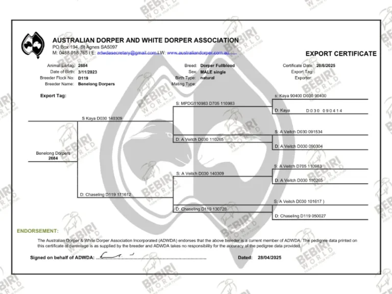 Cert 7