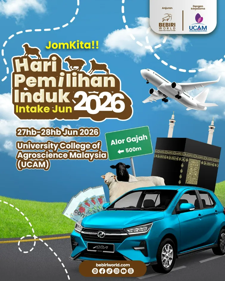 Poster Promo