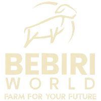 Logo Bebiri World
