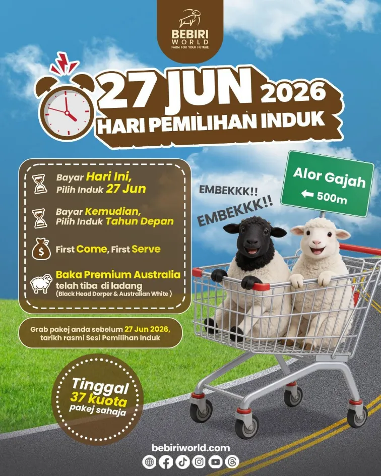 Poster Promo